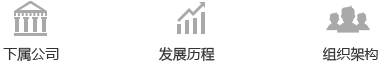 稅務(wù)咨詢(xún)